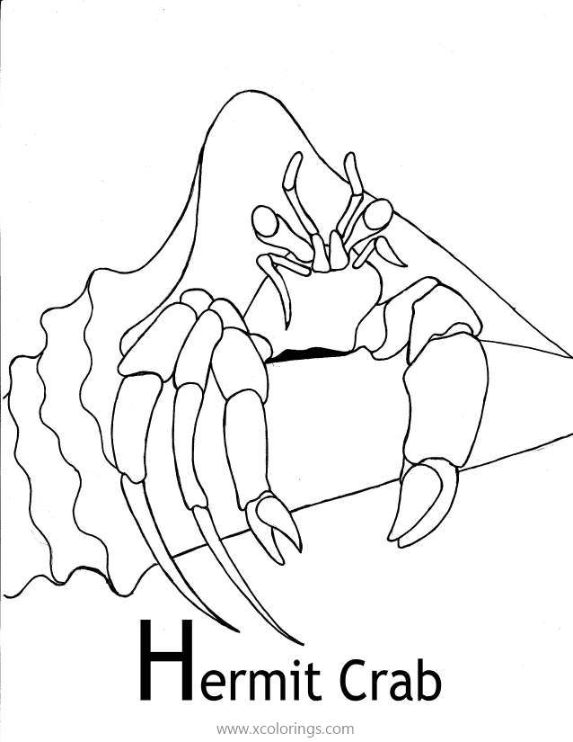 Free Hermit Crab In the Shell Coloring Page printable