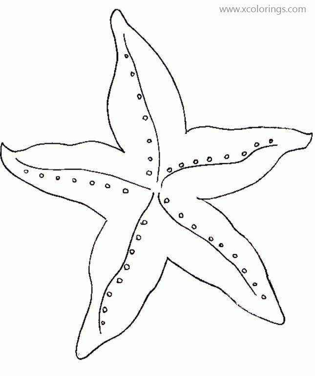 Free How to Draw Starfish Coloring Pages printable