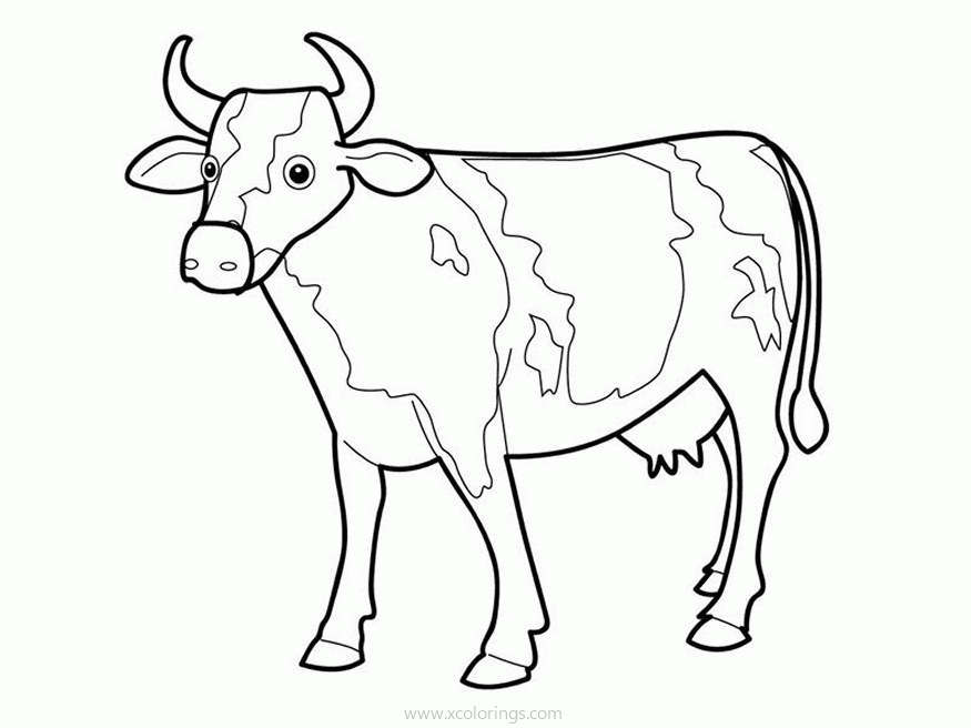 Free I See A Cow Coloring Page printable