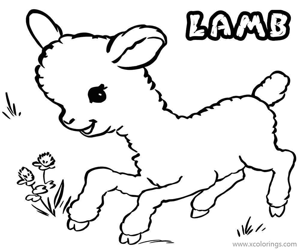 Free Little Lamp from Sheep Coloring Pages printable