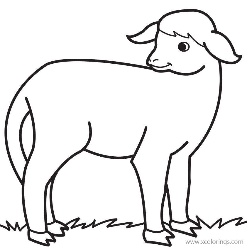Free Livestock Animals Sheep Coloring Pages printable