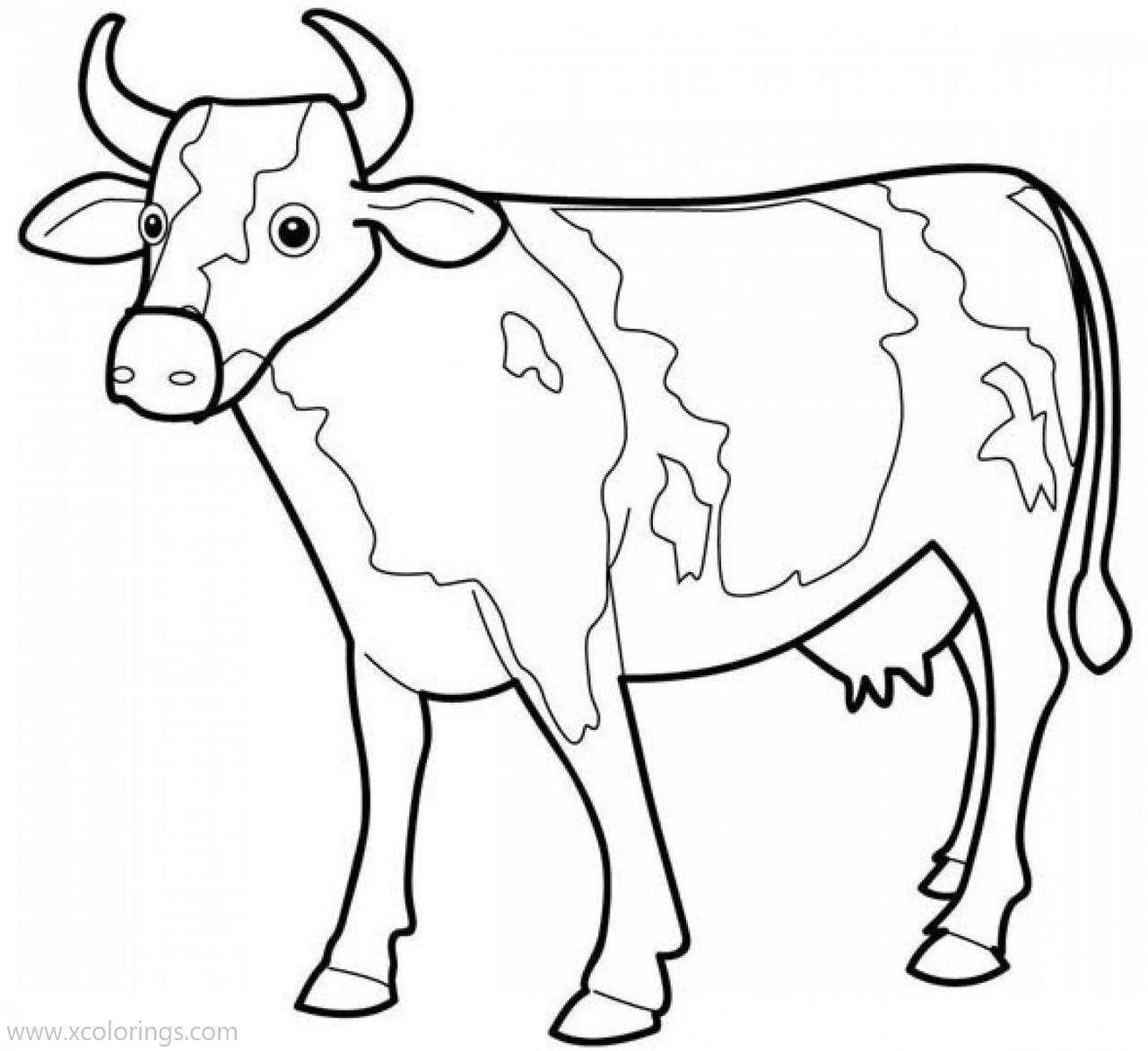Free Livestock Cow Coloring Pages printable