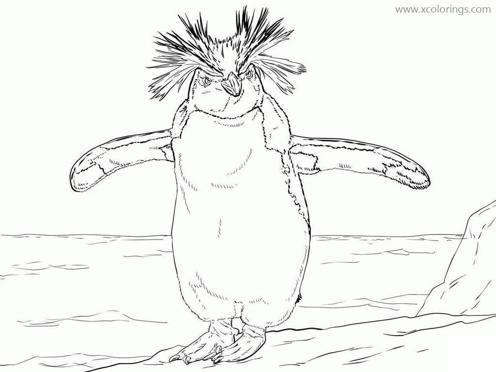 Free Macaroni Penguin Open Wings Coloring Page printable