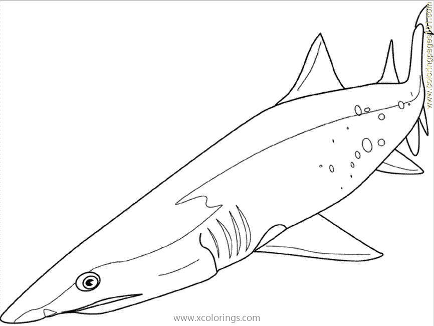 Free Mako Shark Coloring Pages printable