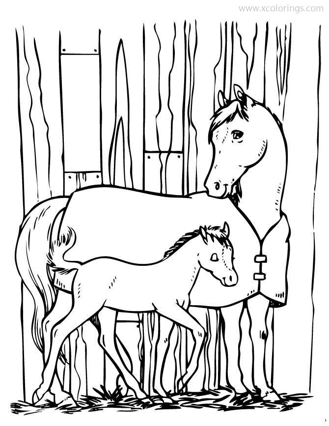 Free Mom and Baby Horse Coloring Pages printable
