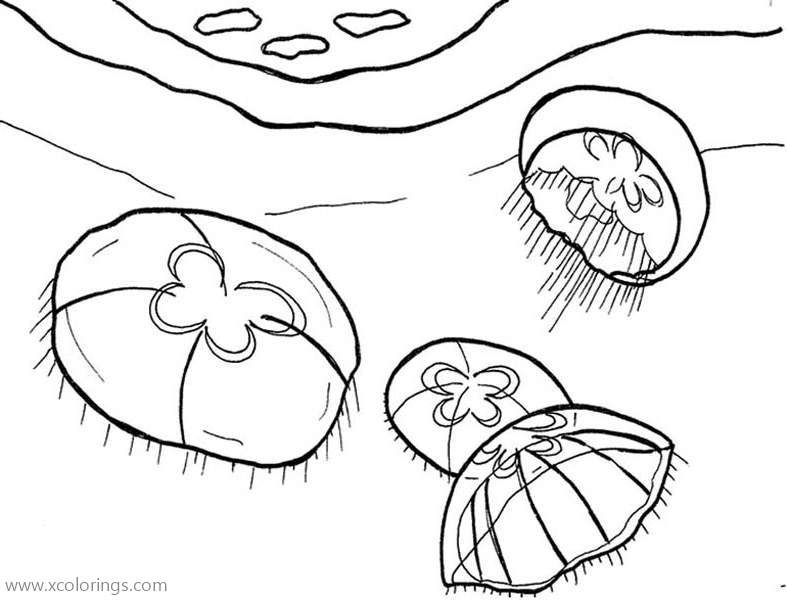 Free Moon Jellyfishes Coloring Page printable