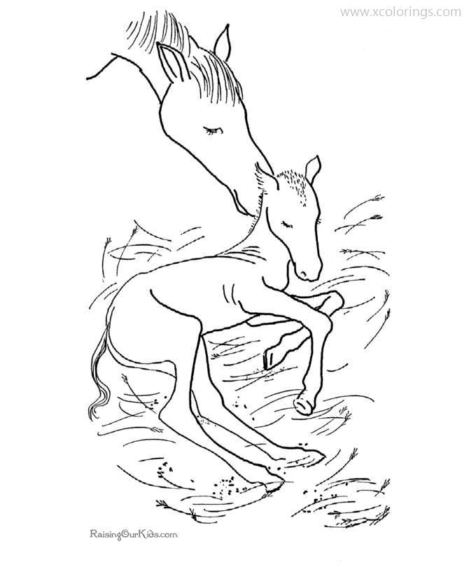 Free Newborn Baby Horse Coloring Pages printable