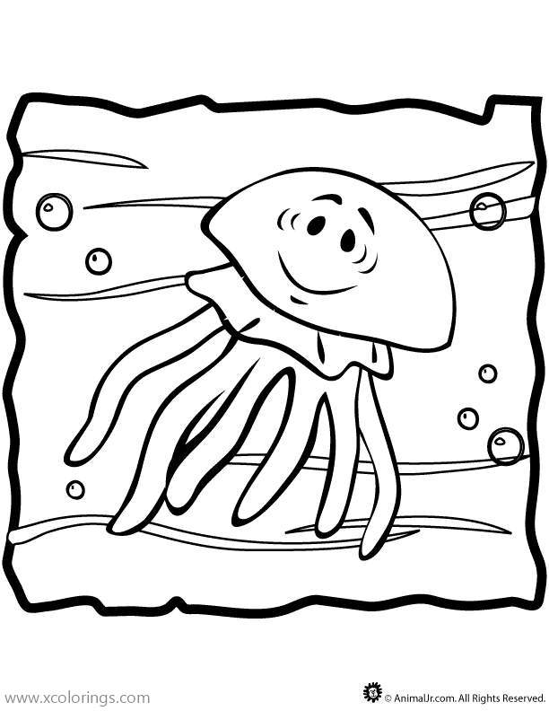 Free Ocean Animals Jellyfish Coloring Pages printable