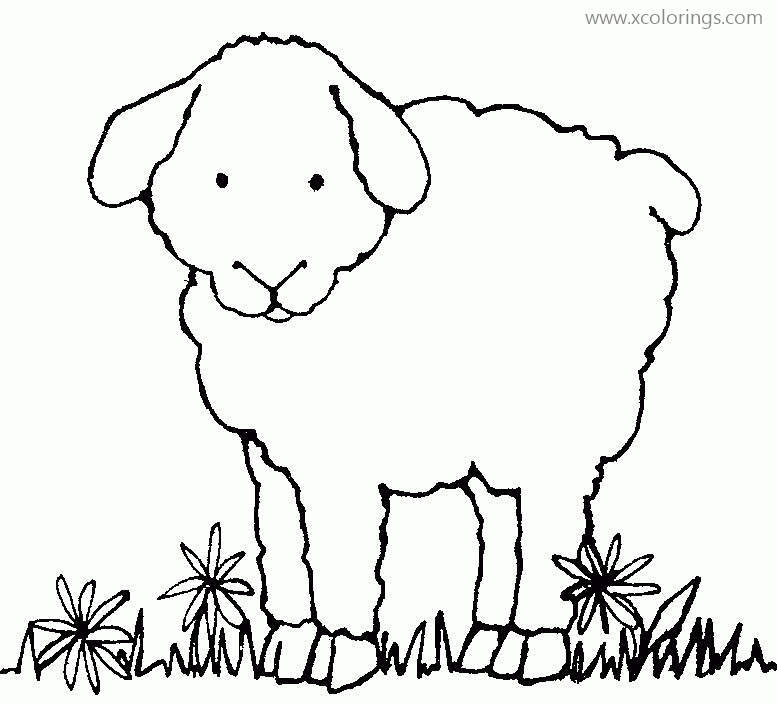 Free Outline of Sheep Coloring Pages printable