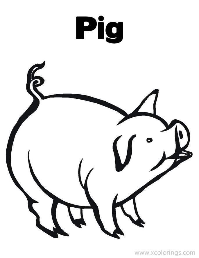 Free P is for Pig Coloring Pages printable