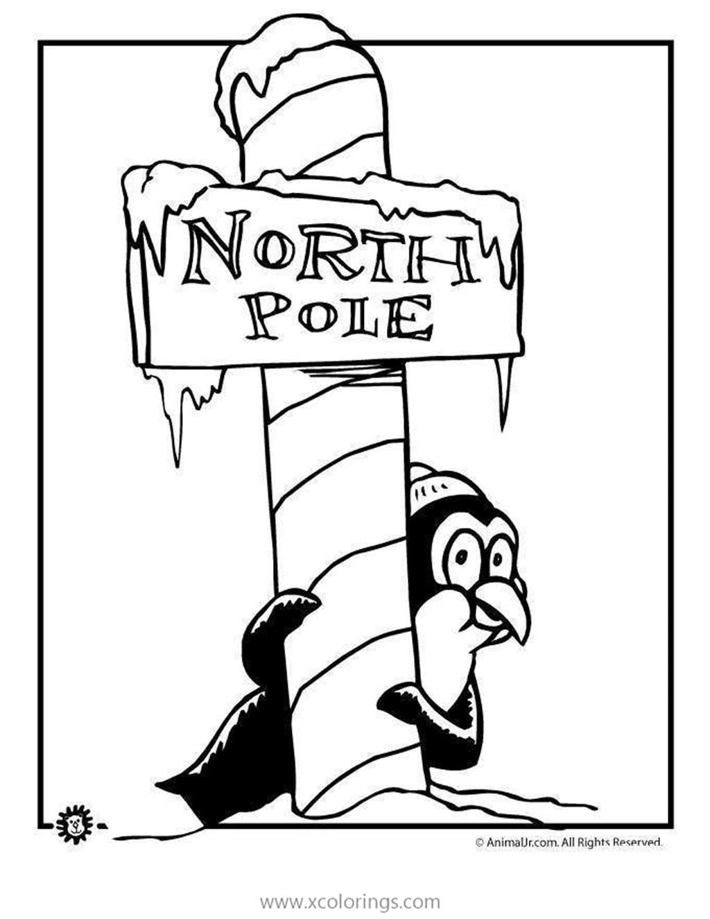 Free Penguin At North Pole Coloring Pages printable