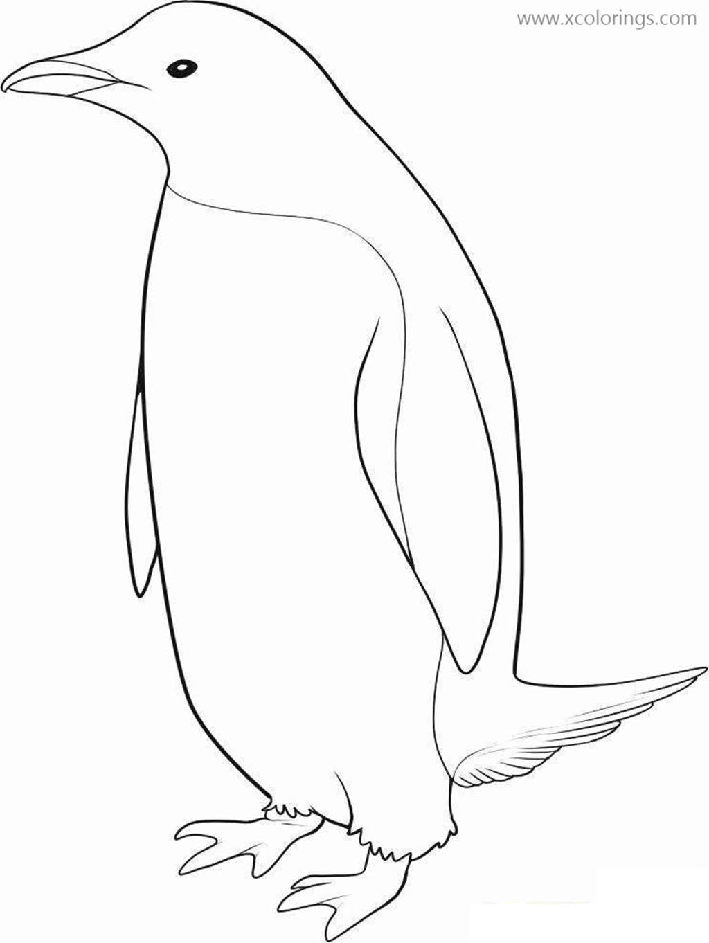 Free Penguin Coloring Page Linear Drawing printable