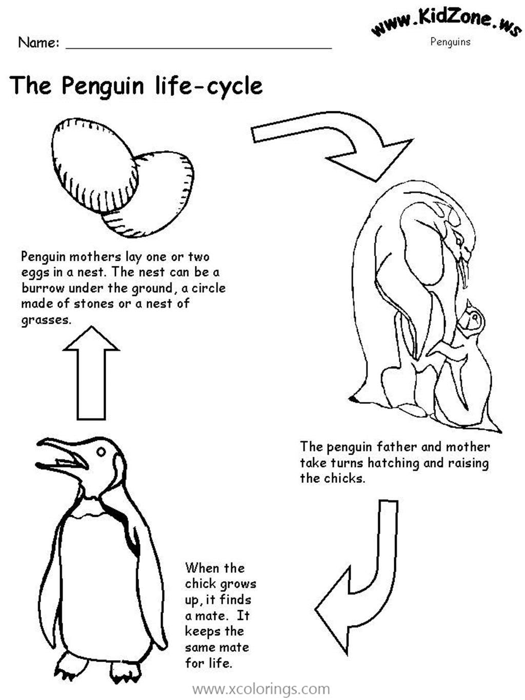 Free Penguin Life Cycle Coloring Pages printable