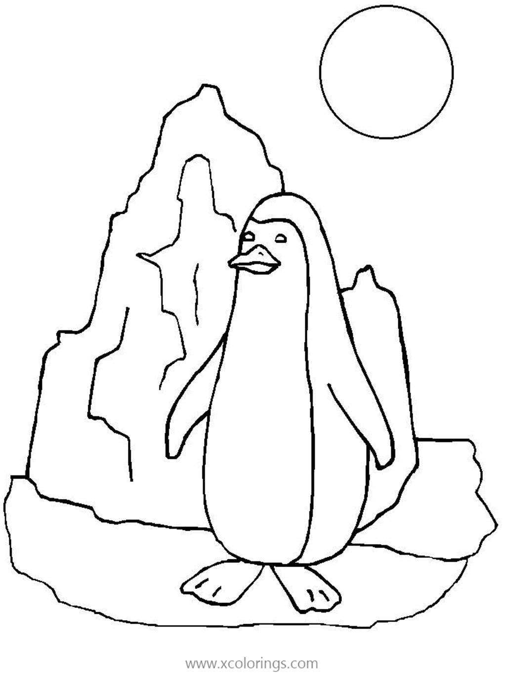 Free Penguin and Sun Coloring Pages printable