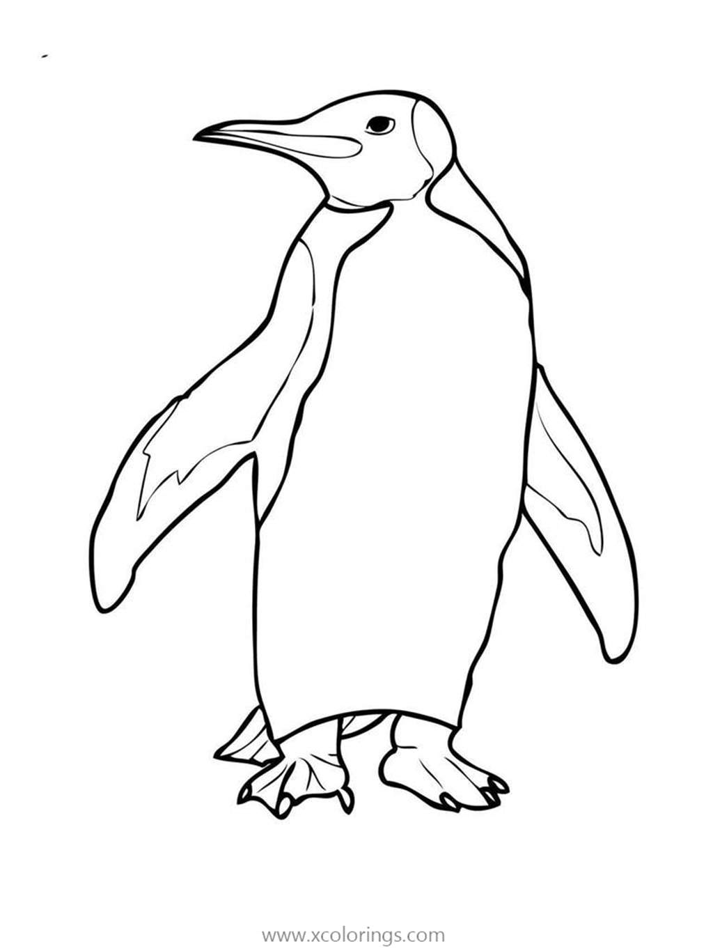 Free Penguin is looking Around Coloring Pages printable
