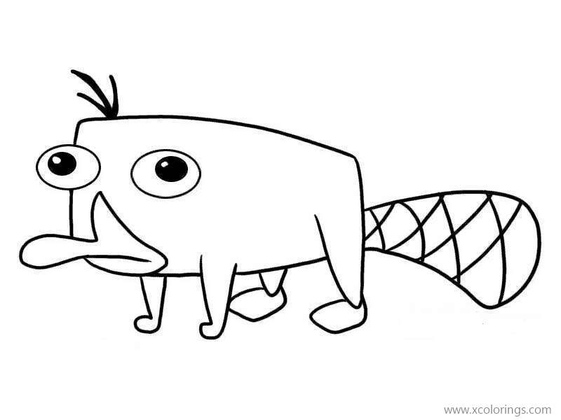 Free Phineas and Ferb Coloring Pages Animal Perry printable