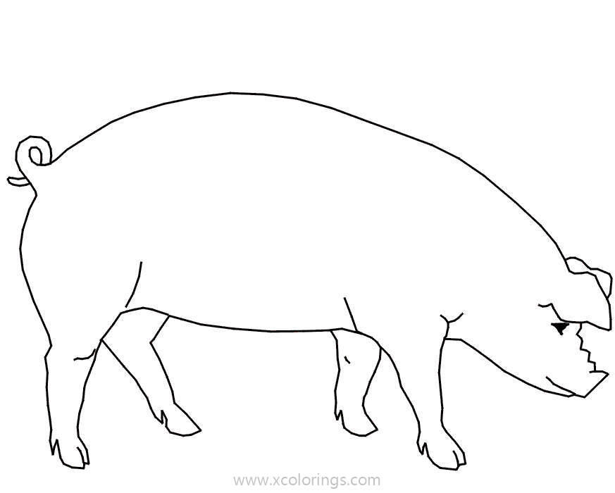 Free Pig Coloring Pages with Short Tail printable
