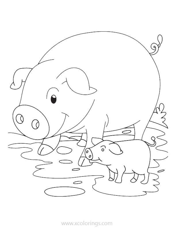 Free Pig in Mud Pit Coloring Pages printable
