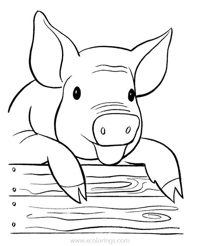 Free Pig on Sty Coloring Pages printable