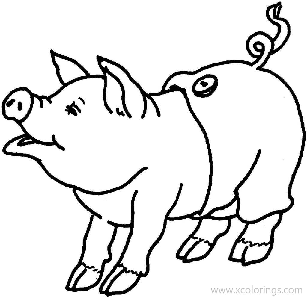 Free Pig with Clothes Coloring Pages printable