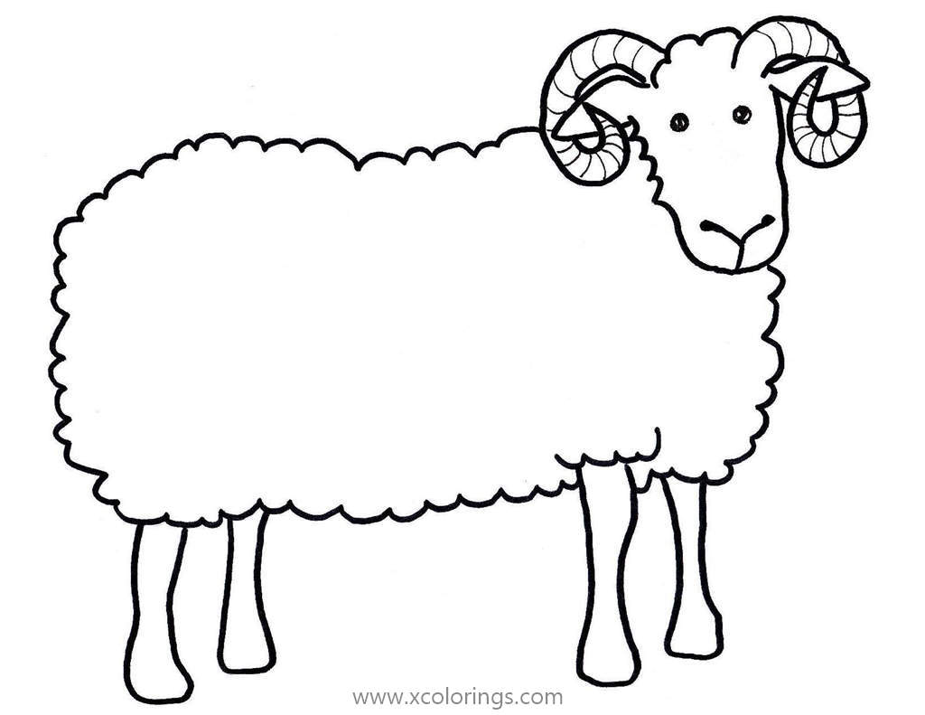 Free Ram Sheep Coloring Pages printable