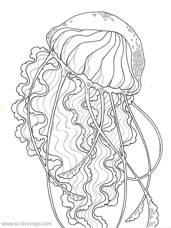 Free Realistic Jellyfish Coloring Page printable