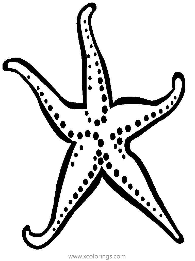 Free Reef Fish Starfish Coloring Pages printable