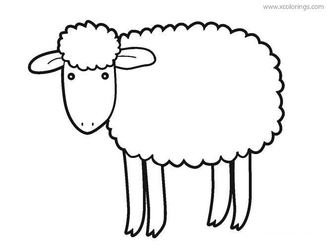 Free Ruminants Sheep Coloring Pages printable