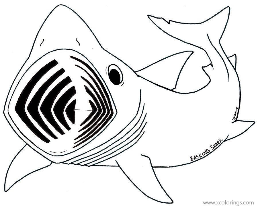 Free Sea Animal Shark Coloring Pages printable