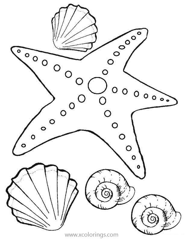 Free Seashells and Starfish Coloring Pages printable