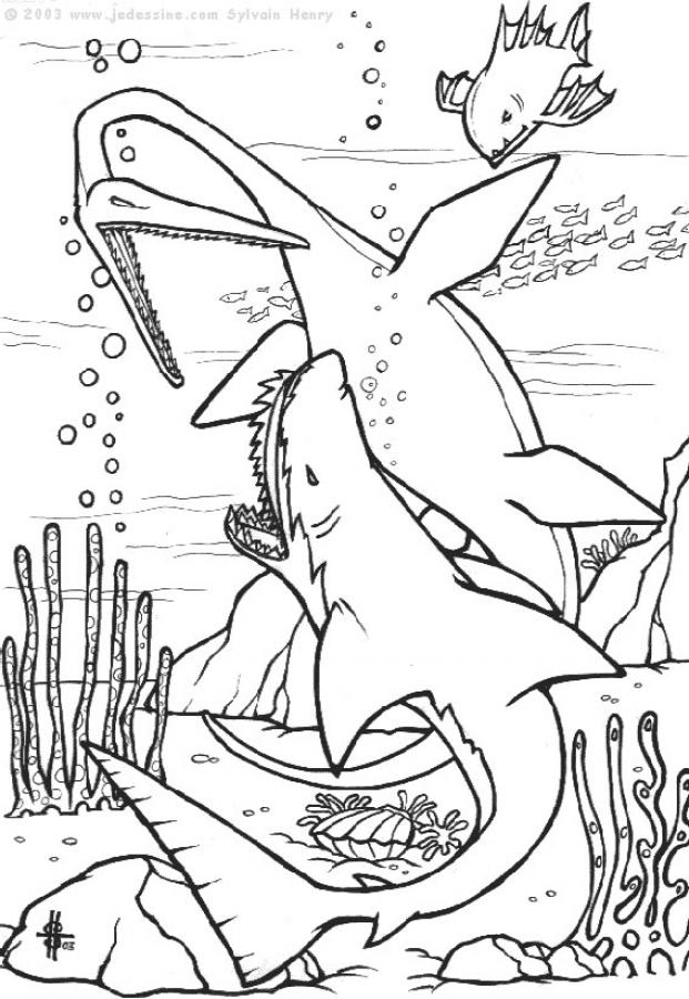 Free Sharks Under the Sea Coloring Pages printable
