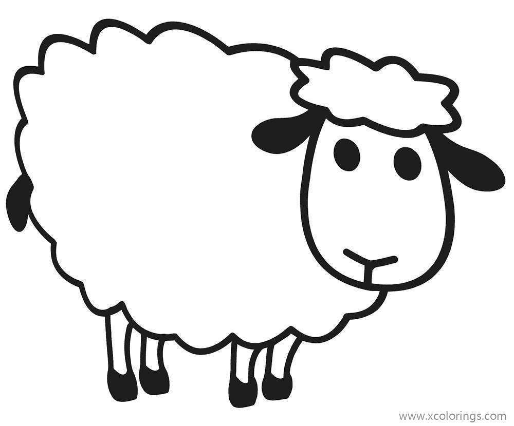 Free Sheep Coloring Pages Black and White printable