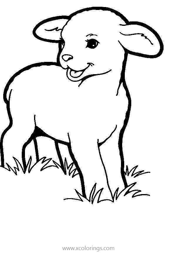 Free Sheep Coloring Pages Cute Lamp printable