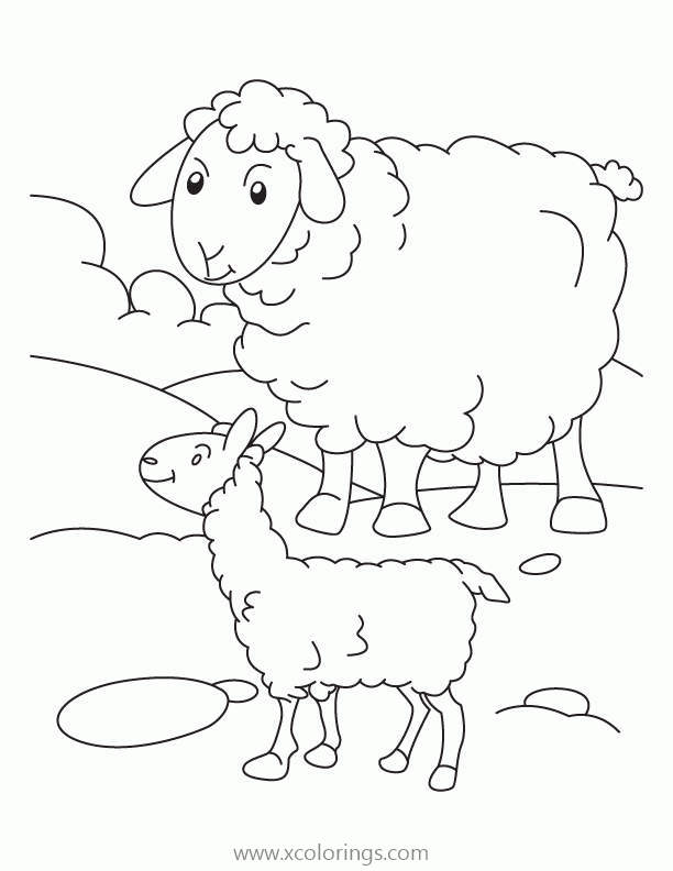 Free Sheep Coloring Pages Mother and Lamp printable