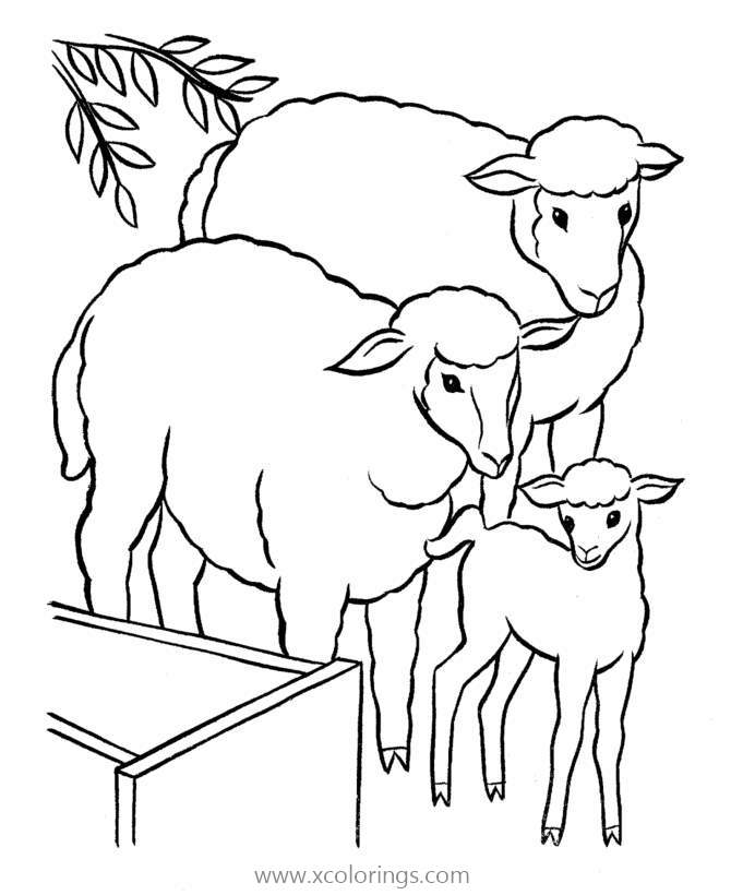 Free Sheep Family Coloring Pages printable