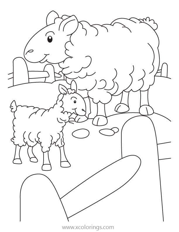 Free Sheep In the Pen Coloring Page printable