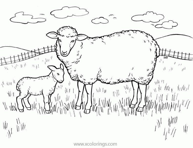 Free Sheep On the Farm Coloring Pages printable