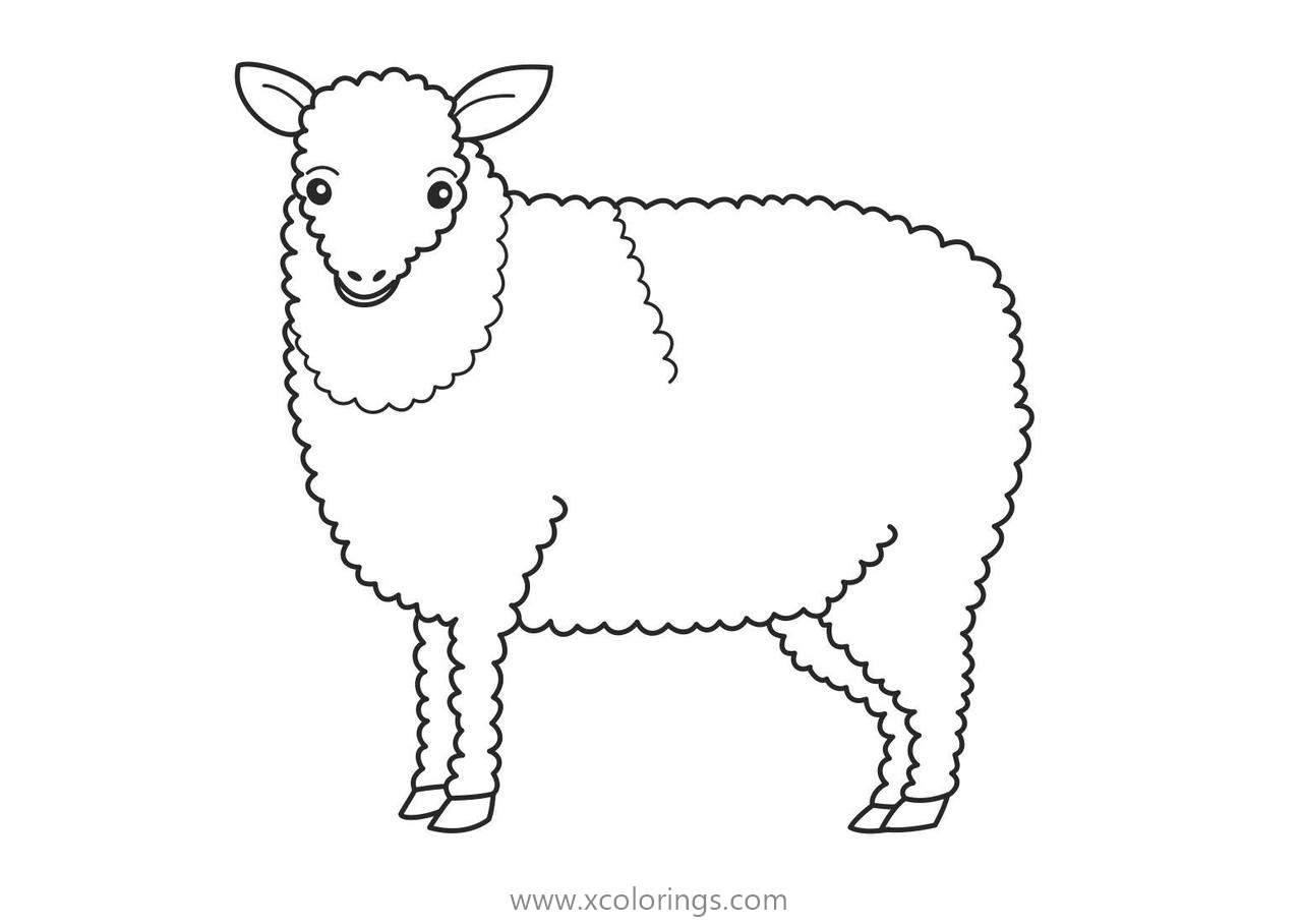 Free Sheep from Farm Coloring Pages printable