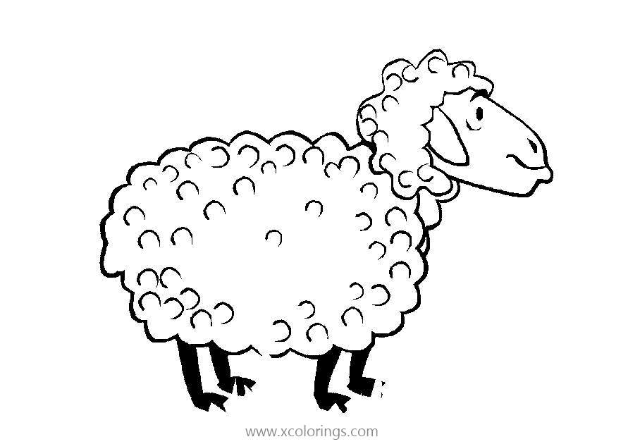 Free Sheep of Livestock Coloring Pages printable