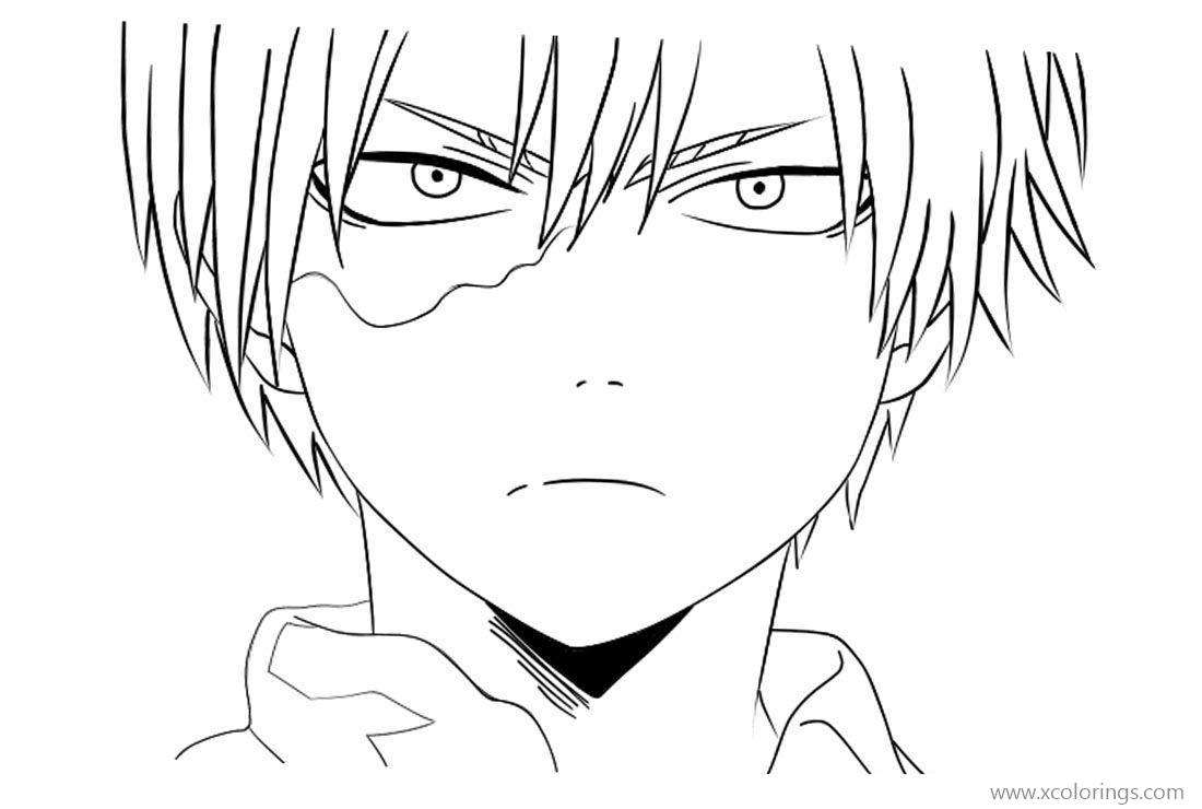 3. Todoroki Shoto - wide 5