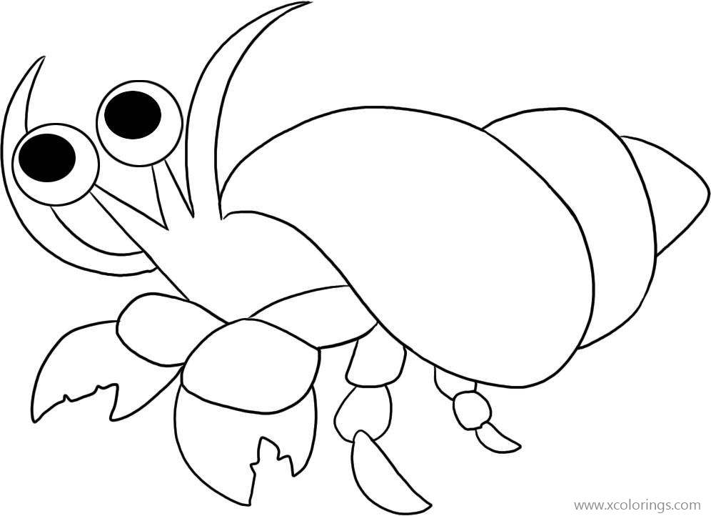 Free Simple Hermit Crab with Big Eyes Coloring Page printable