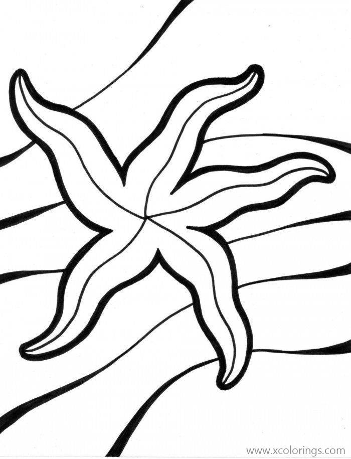 Free Simple Starfish Coloring Pages printable