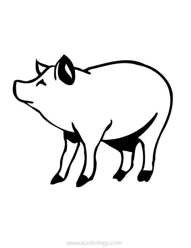 Free Smiling Pig Coloring Pages printable
