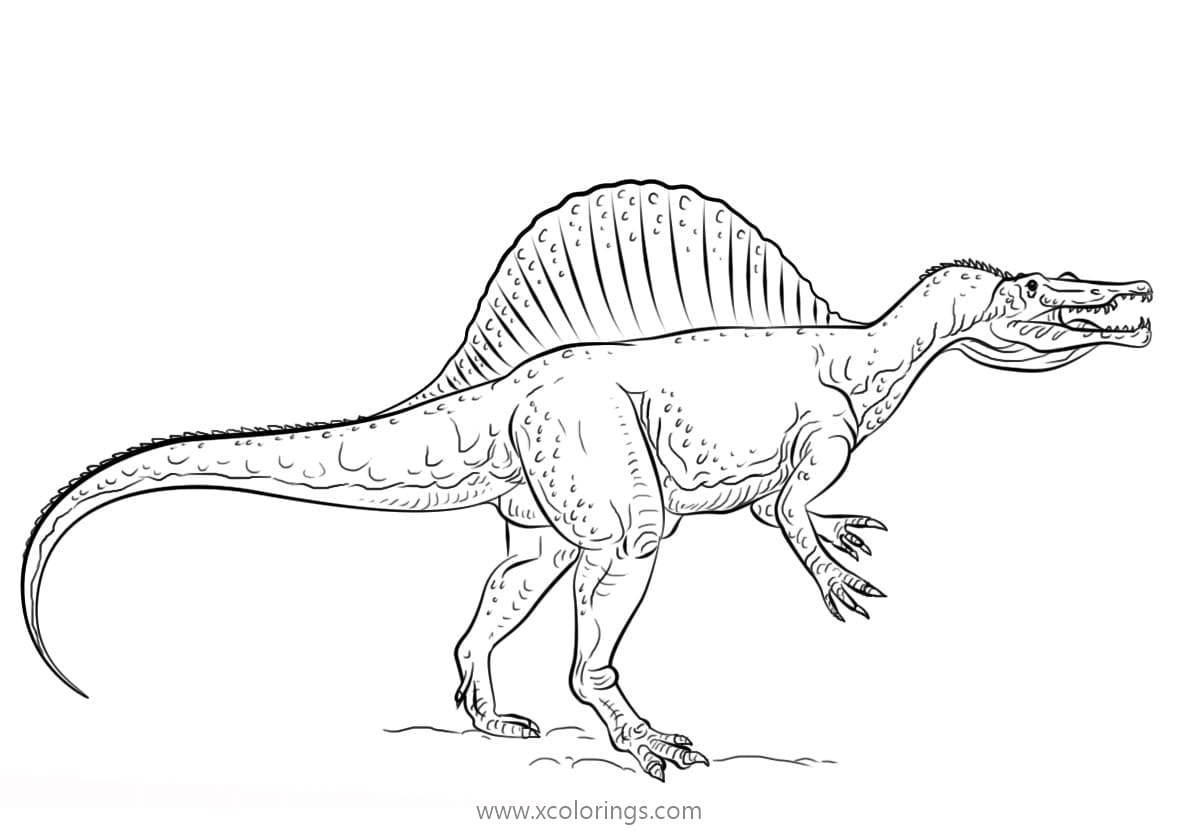 Free Spinosaurus with Long Tail Coloring Page printable