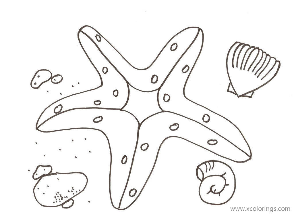 Free Starfish At the Beach Coloring Pages printable