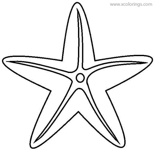 Free Starfish Coloring Pages Easy for Kids printable