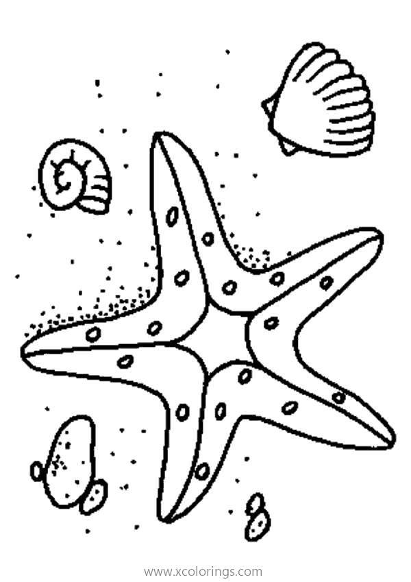 Free Starfish On the Beach Coloring Pages printable