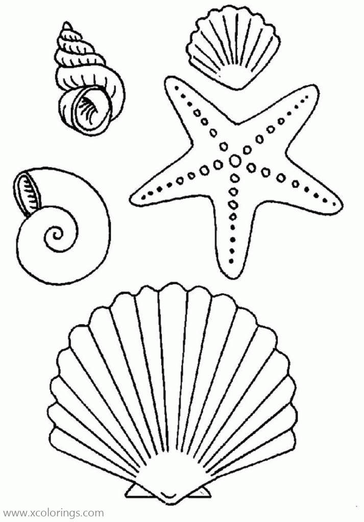 Free Starfish and Seashell Coloring Pages printable