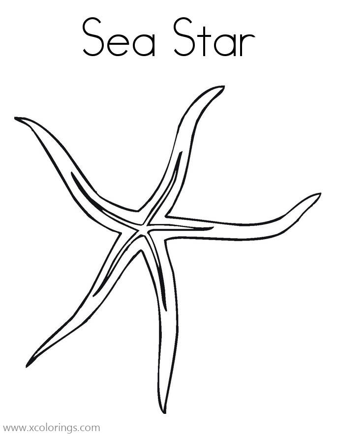 Free Starfish or Sea Star Coloring Pages printable