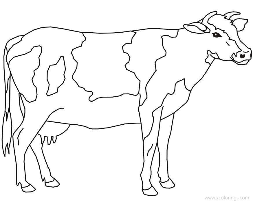 The Holstein Diary Cow Coloring Page - XColorings.com